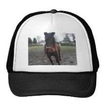 2011 foto 079.jpg casquette