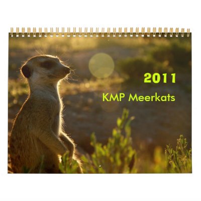 2011 KMP Meerkats Calendar by fkmp_store