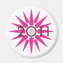 2011 MAGNET