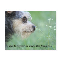 2011 Make Time to Enjoy Life Year Calendar Postcard