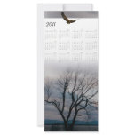 2011 Old tree bookmark Custom Rack Card