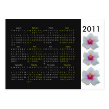2011 Pocket hibiscus calendar with Business Card