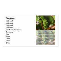 2011 Tree Frog Whole Year Calendar Business Cards
