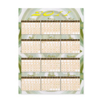 2011 Year at a Glance Calendar