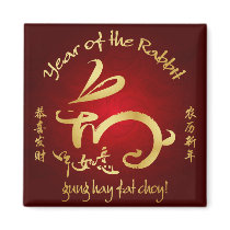 2011 Year of the Rabbit Chinese New Year