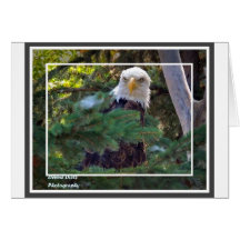 20120728_149a.jpg greeting card