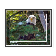 20120728_149a.jpg postcards