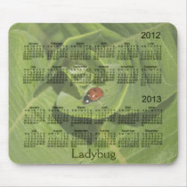 2012-2013 Ladybug Calendar Mousepad