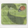 2012-2014 Ladybug Calendar Mousepad