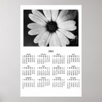 2012 Black/White African Daisy Year Wall Calendar Poster