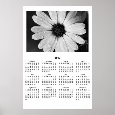 2012 Black/White African Daisy Year Wall Calendar Poster by inspiredbygenius