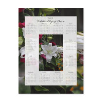 2012 Calendar Postcard