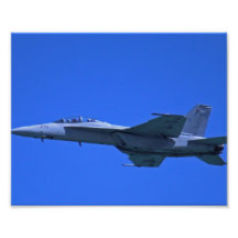 2012 Chicago Air Show Photograph