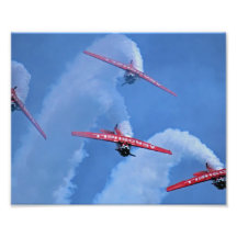 2012 Chicago Air Show Photograph