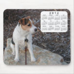 2012 Dog Calendar
