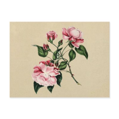 2012 rose Calendar Postcard by svetico