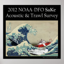 2012 SaKe Survey Poster