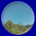2013-01-18 - Trees. Birds Moon SOSUA SKY BLUE GREE plates