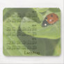 2013-2015 Ladybug Calendar Mousepad