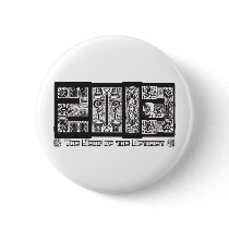 2013 PINS