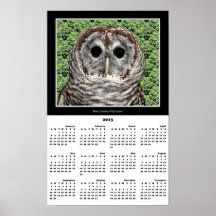 2013 Calendar Poster: Barred Owl
