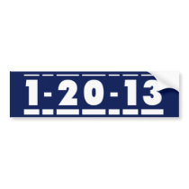 2013 Elections Bumper Sticker