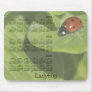2014-2016 Ladybug Calendar Mousepad