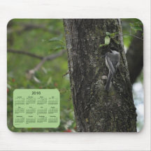 2016 Bird Calendar Mousepads