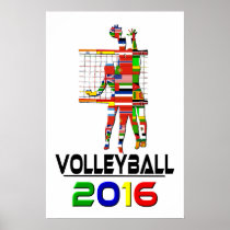 2016:Volleyball Poster
