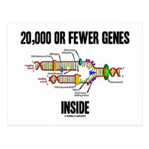 20,000 Or Fewer Genes Inside (DNA Replication) Postcards