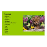 20_baby_animals (15) adorable cute darling pets business card