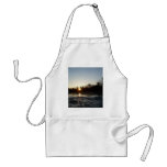 20 March 2010 Apron