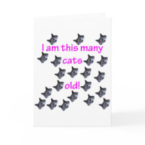 21 Cat Heads Old