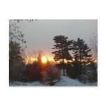 21 February 2010 Post Cards