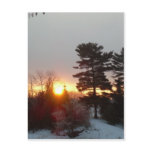 21 February 2010 Postcards