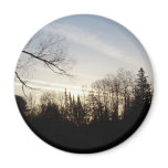 21 March 2010 Magnet