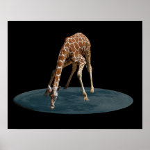 21A DRINKING THE MOON (16X20) POSTERS