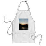 22 March 2010 Aprons