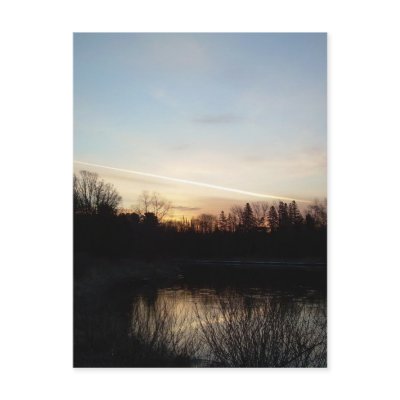 22 March 2010 by NiftyMorning