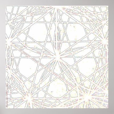 #2375.SEED OF FLOWER OF PHIVE/WHITE POSTER by daenglish