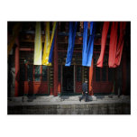 237 - Ribbons at the Summer Palace Post Card