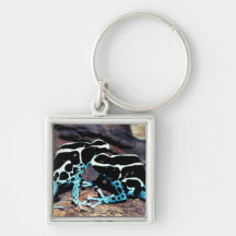 23898179 KEY CHAIN