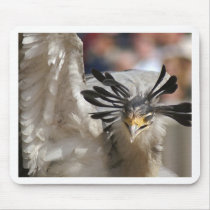 243352757_fb988a5d24_o mouse pad