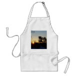 24 February 2010 Apron