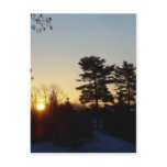 24 February 2010 Post Card