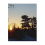 24 February 2010 Post Card