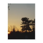 25 February 2010 Post Cards