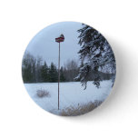 25 January 2010 Pins