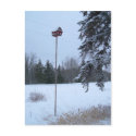 25 January 2010 postcards