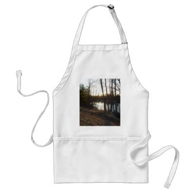 25 March 2010 Aprons by NiftyMorning